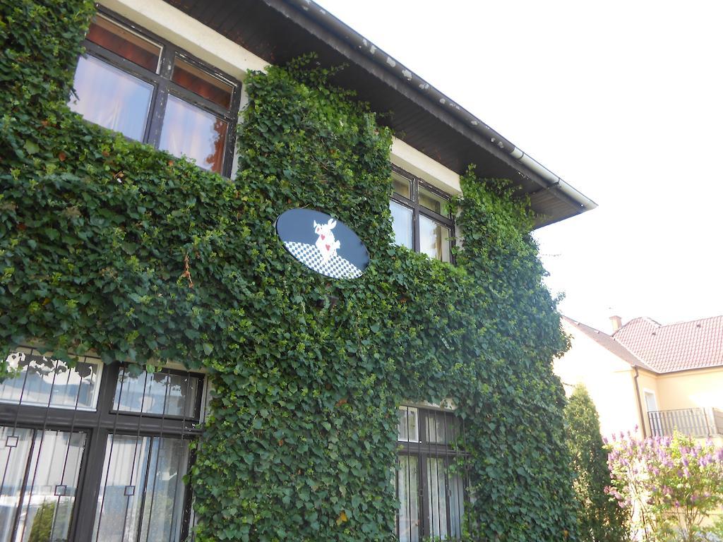 White Rabbit Hall Hotell Poděbrady Eksteriør bilde